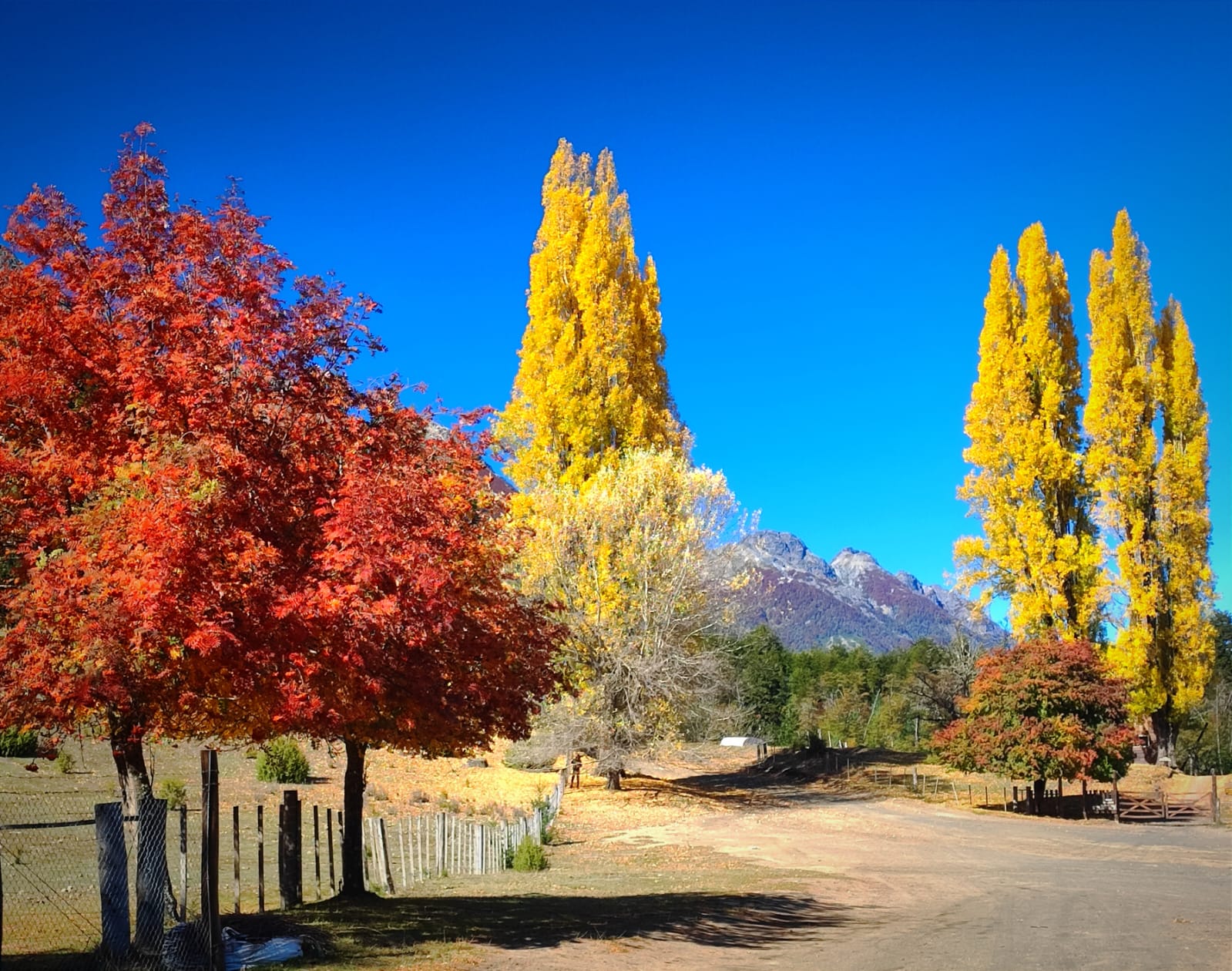 imagen de paisaje